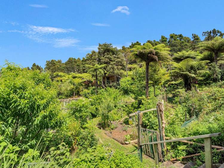 Ohiwa Loop Road Waiotahi_24