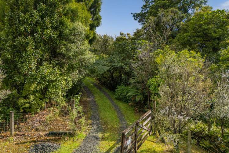 974 The 309 Rd Whitianga_5