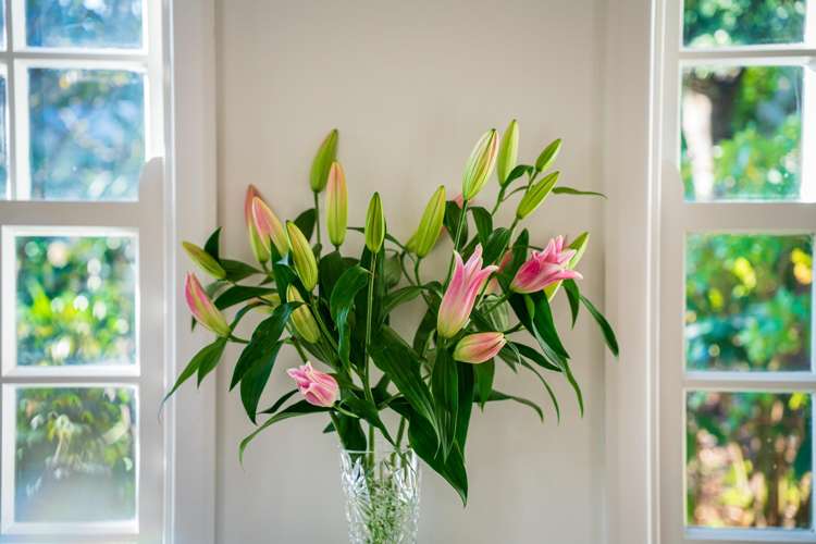 134 Wellington Road Paekakariki_24