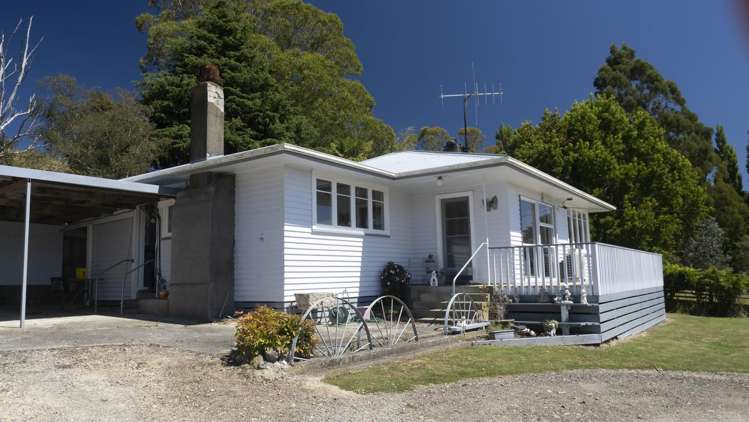 233 South Road Mauriceville_2