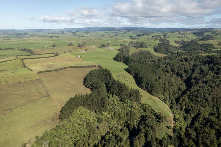 272 Ngutunui Road Puketotara_21