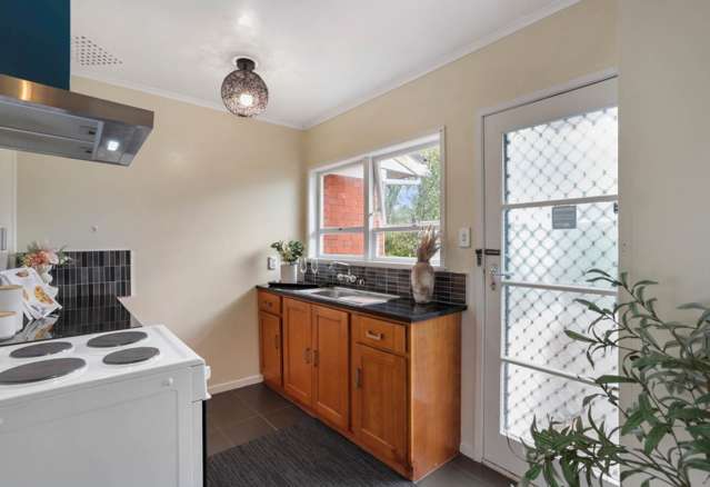 3/8 Counsel Terrace Mt Albert_3