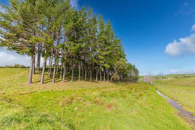 283 Rotowaro Road Huntly_26