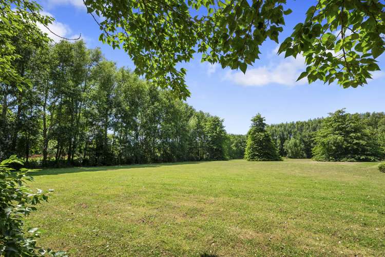 295 Postman Road Dairy Flat_9