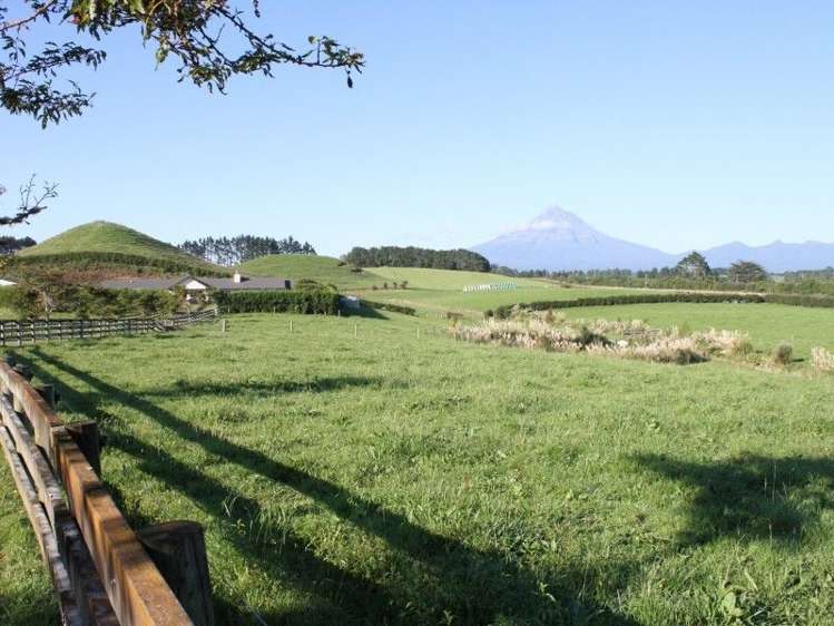 1355 Mountain Road Inglewood_15