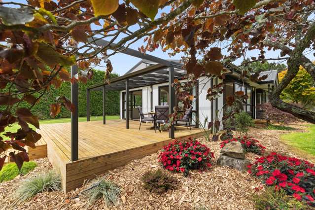 527 Omanawa Road Lower Kaimai_1