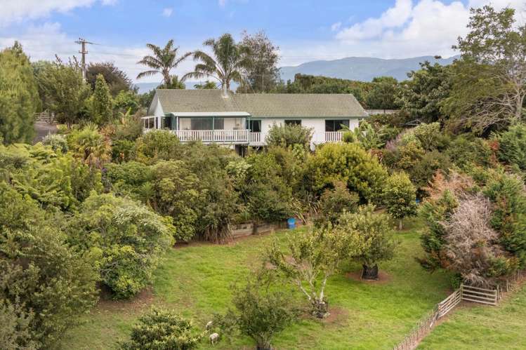 100 Woodland Road Katikati_27