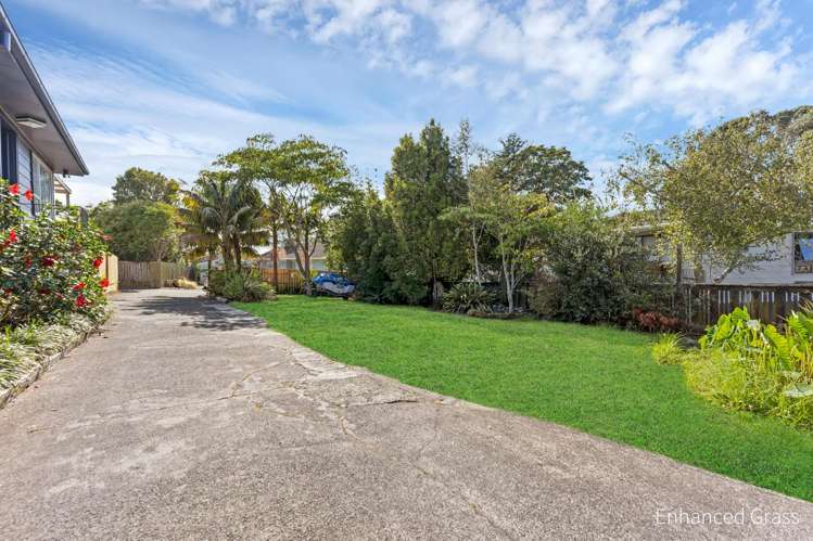 42a Forest Hill Road Henderson_23
