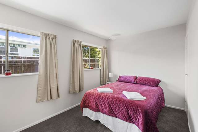 5 Windsor Place Levin_2