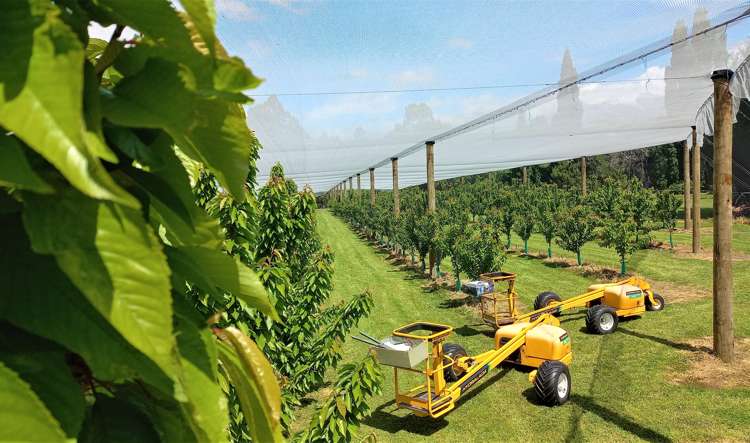 109 Ripponvale Road Cromwell_32