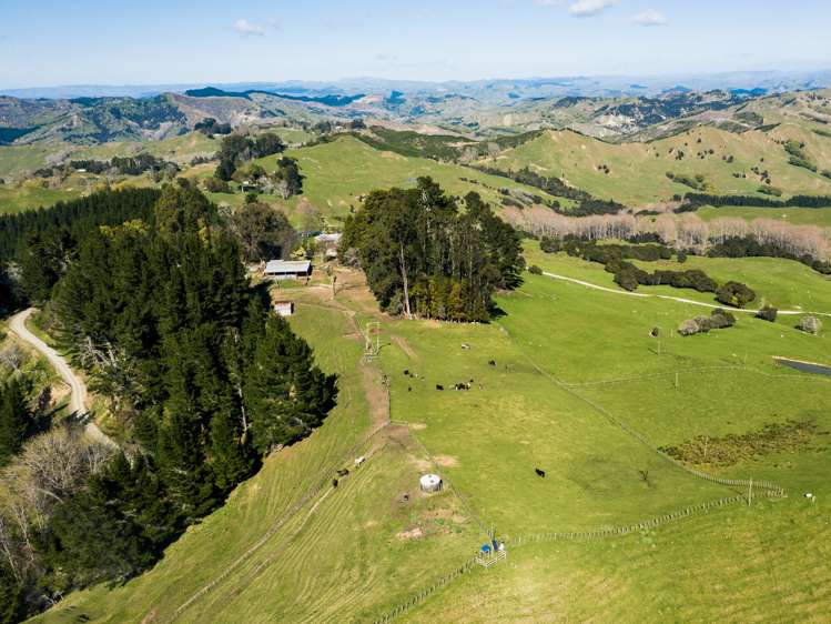 1875 Kanakanaia Road Whatatutu_21