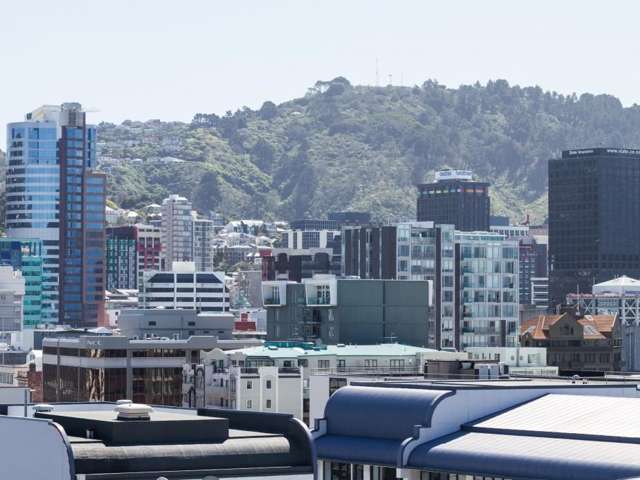 9a/11 Tennyson Street Te Aro_4