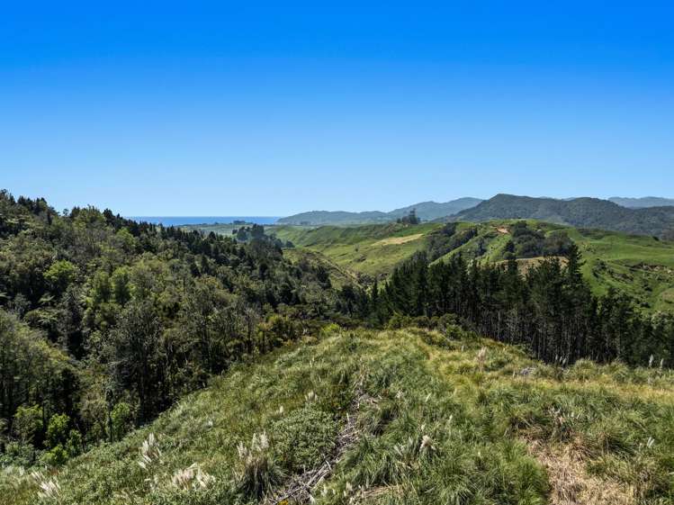 Gaskill Road Tirohanga_10