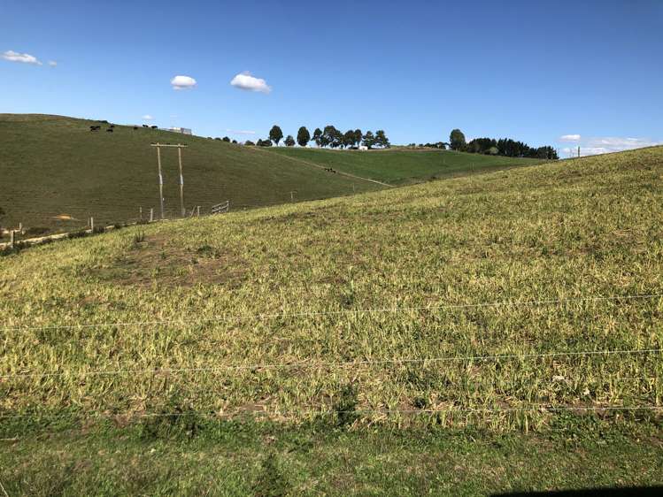 35 Grove Access Road Karamu_27