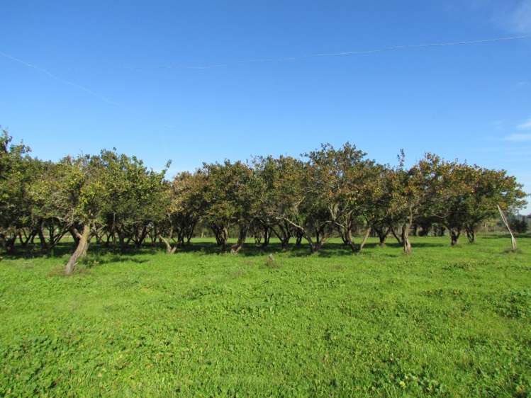 749 Swamp Road Puketapu_1