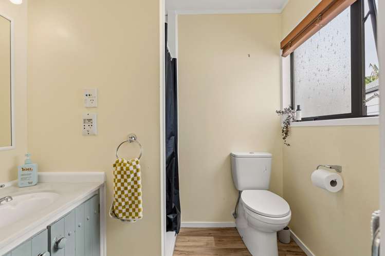 37 Williams Avenue Morrinsville_11