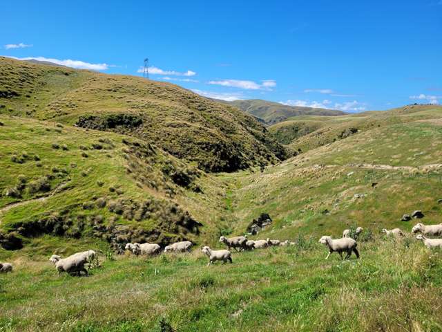 72 Wrights Road Waitaki_1