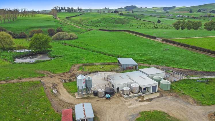 63 Harbottle Road Morrinsville_4