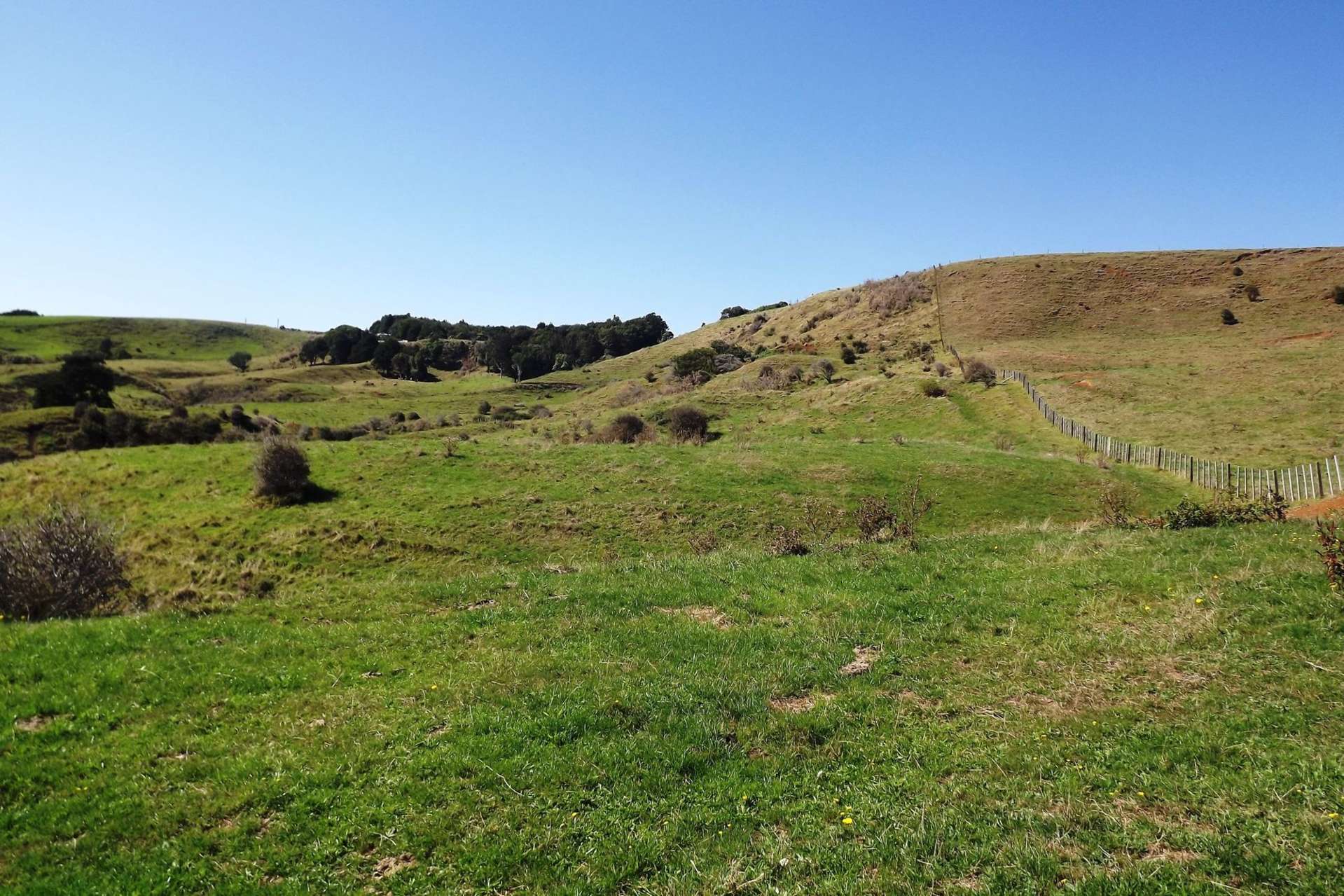 238 Waimaori Road Raglan_0