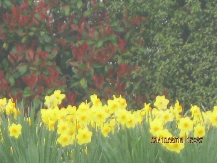 125 Main North Road Geraldine_28