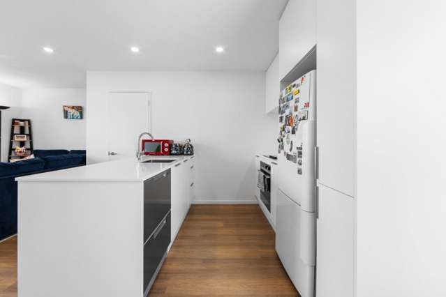 27B Sumner Street Spreydon_1