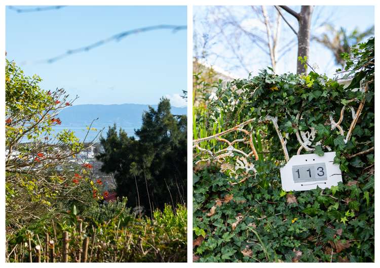 113 Grafton Road Thames_13