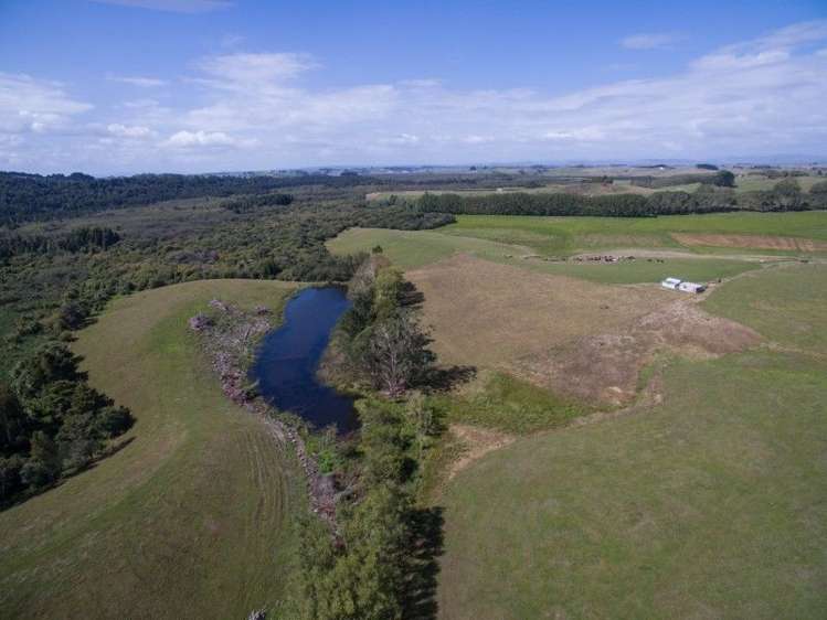 137 Sanson Road Ruawaro_2