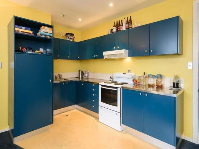 17/5 Eva Street Te Aro_3