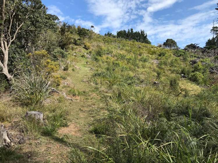 130a Wattle Bay Road Manukau Heads_19