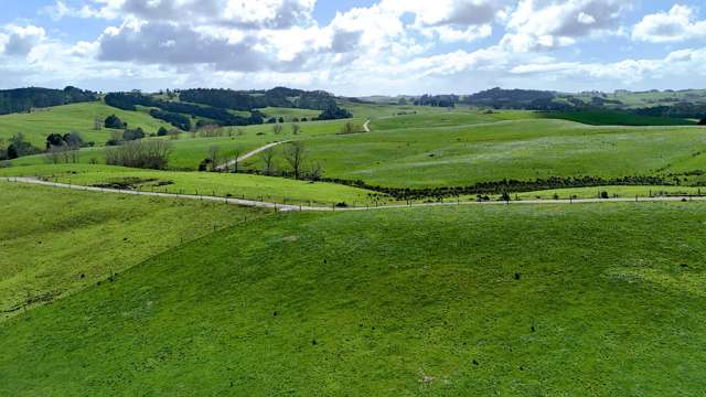 Exceptional Dairy Opportunity in Tomarata
