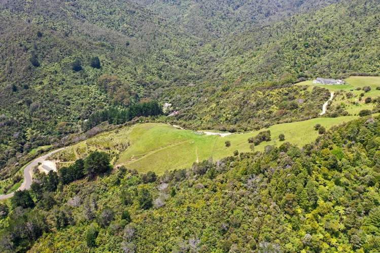 60 Waiomu Valley Road Waiomu_12