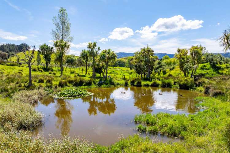 42 Bagnal Road Mangawhai_21