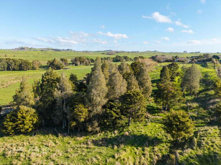 1181 State Highway 12 Maungaturoto_39