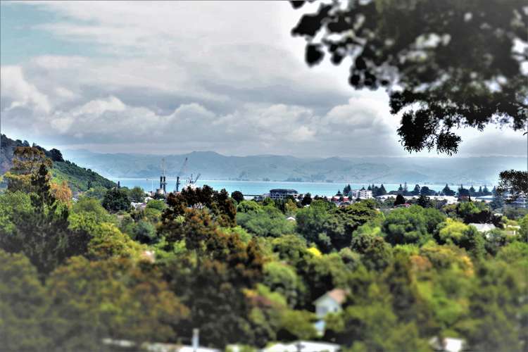 24 Riverside Road Whataupoko_15