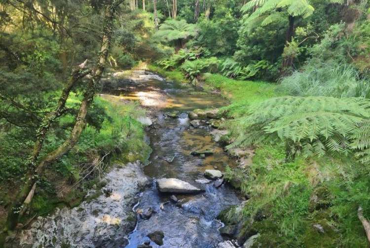 Lot Lot 1/675 Gorge Road_0