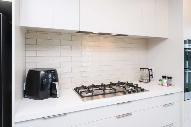 2a Massey Street Palmerston North Central_5