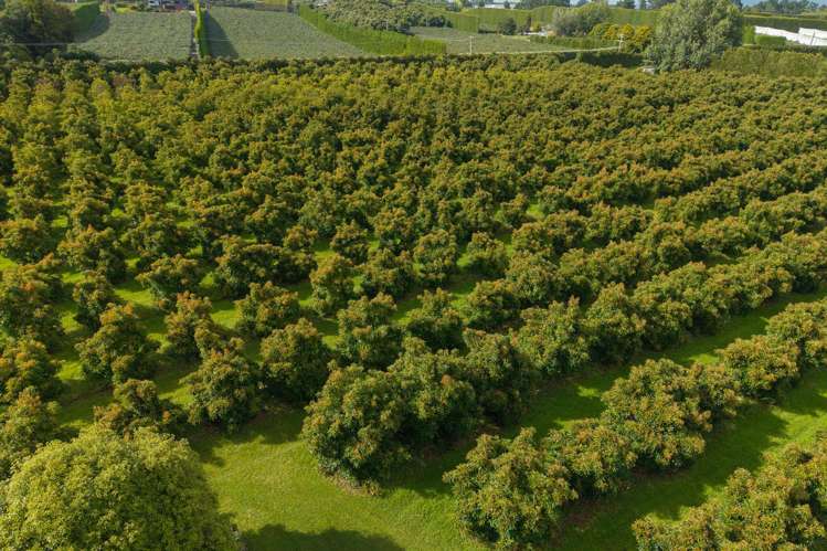 169 Tuapiro Road Katikati_7