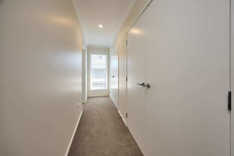 8 Pukeko Place Kaikoura_42