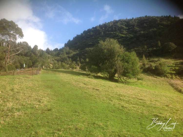 139 Warner Road Takahue_1