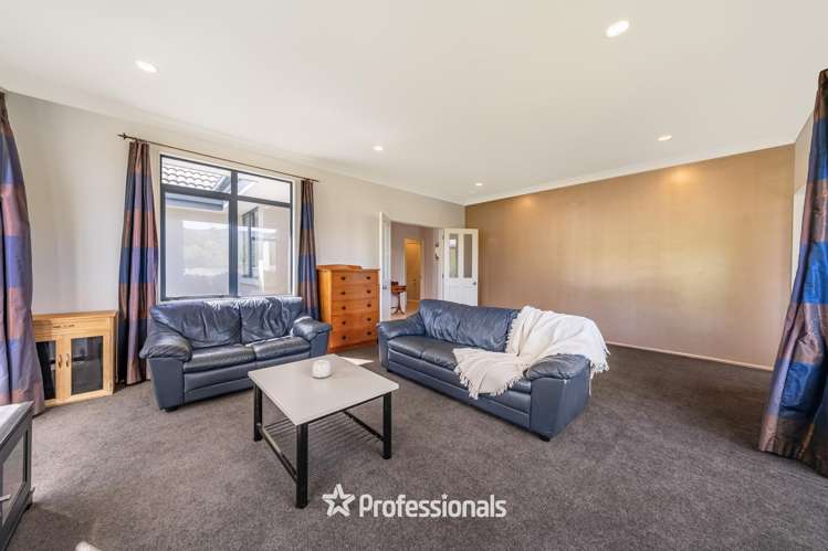 8 Tuhua Lane Brown Owl_8