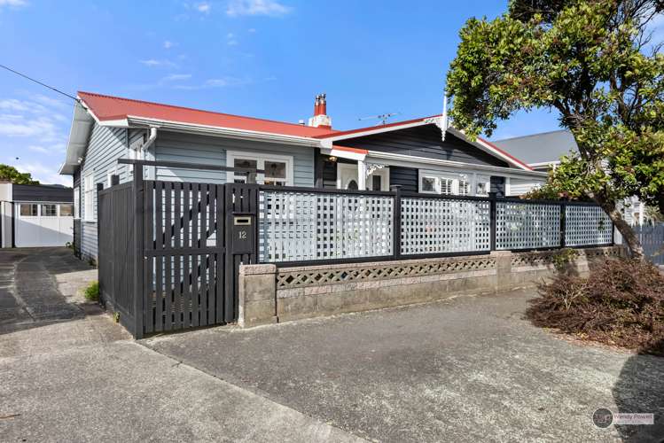 12 Collins Street Petone_6