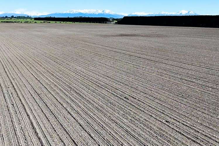 439 Dawsons Road Ashburton_10