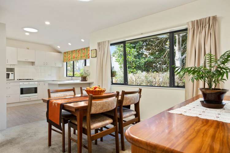 10a Vinter Terrace Mount Albert_11