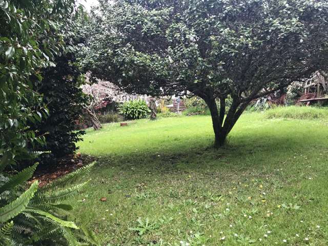 41 Kauika Road West Avenues_1