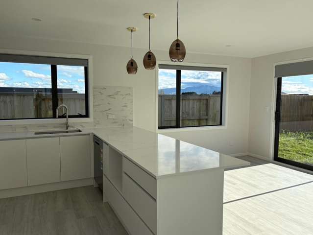 55 Manaia Road Te Awamutu_3