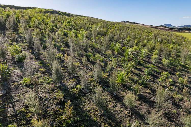 83 Molesworth Drive Mangawhai_9