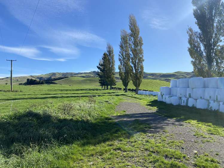 48 Heathfield Road Waipara_26