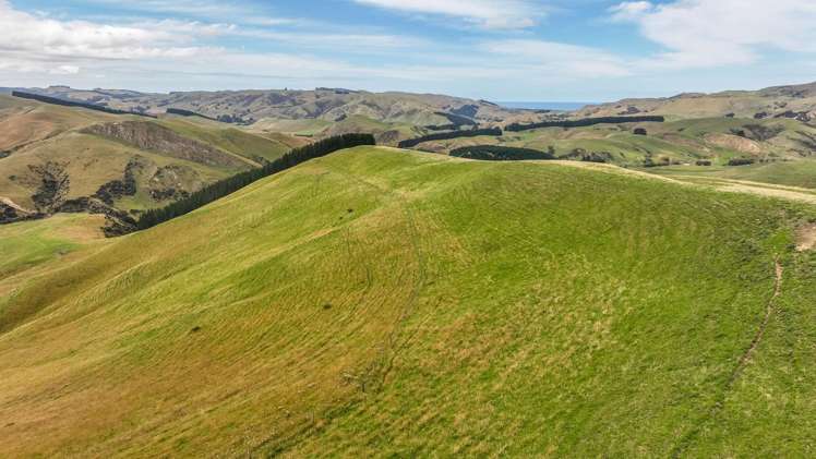 2 Cotswold Road Omihi_8