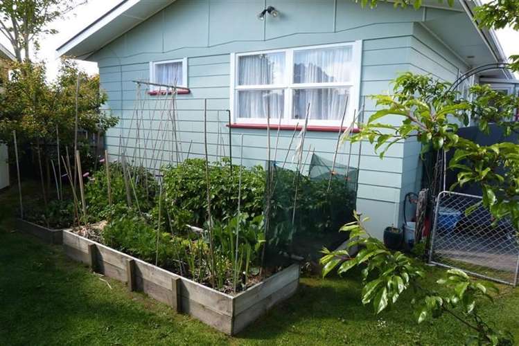 4 Windsor Place Tokoroa_1