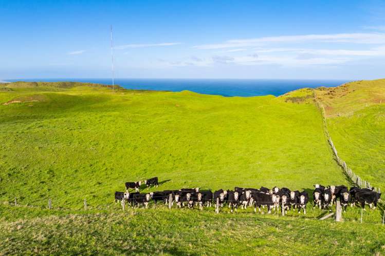 Pinaki Road Dargaville_7